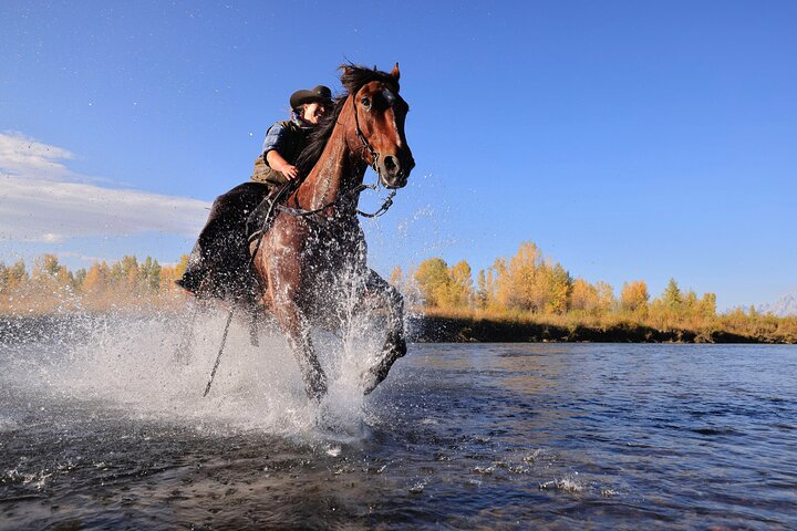 Dinner Cookout Ride at Heart Six Ranch - Photo 1 of 7